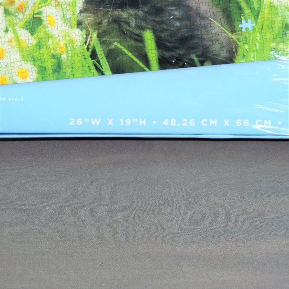 Purrfect Pals 1000 piece jigsaw puzzle Kitten in Flowers - Picture 3 of 4